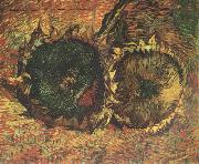 Vincent Van Gogh Two Cut Sunflowers (nn04) Germany oil painting artist